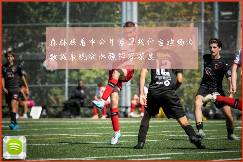 森林狼看中公牛后卫约什吉迪场均数据表现欲加强阵容深度