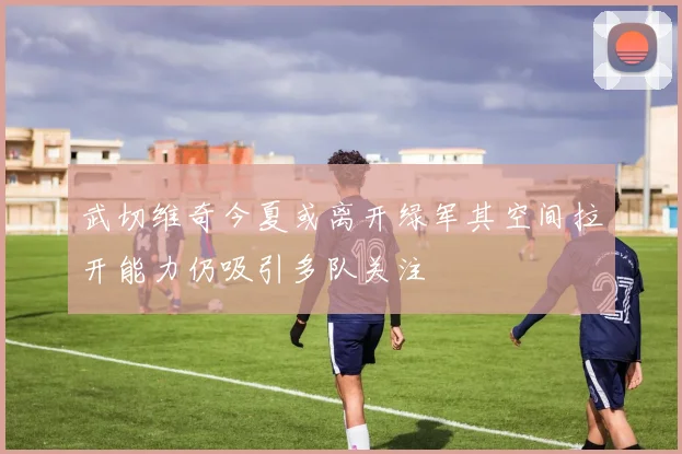 武切维奇今夏或离开绿军其空间拉开能力仍吸引多队关注